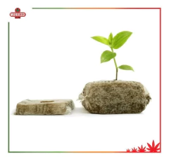 Jiffy Germ Esquejes Fibra De Coco 4x4cm - Morocco Growshop en internet