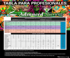 Advanced Kit Aditivo Floración Big Bud + Bud Candy 250 Cc - Morocco Growshop