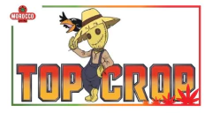 Top Crop Auto 1lt. Fertilizante Para Autoflorecientes. - tienda online