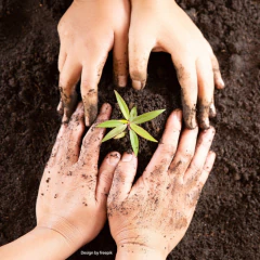 Powder Feeding Grow 500 Gr. / Green House - comprar online