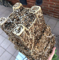 Maceta Roots House 10 Litros X4 - Morocco Growshop - Morocco Growshop