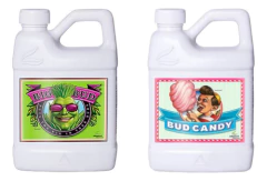 Advanced Kit Aditivo Floración Big Bud + Bud Candy 250 Cc