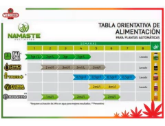 Clonaste 30ml - Morocco Growshop - Morocco Growshop