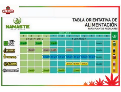 Clonaste 30ml - Morocco Growshop - tienda online