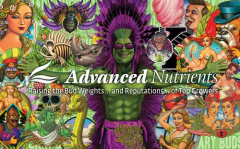 Flawless Finish 500 Ml. Lavado De Raíces/ Advanced Nutrients - Morocco Growshop