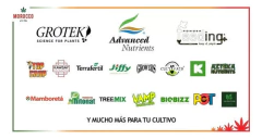 Combo Powder Feeding Grow + Hybrids + Booster 1kg. - comprar online