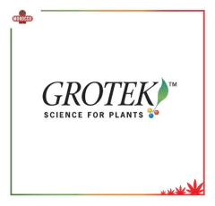 Vitamax Pro 500 Ml. Estimulador De Raíces / Grotek - Morocco Growshop