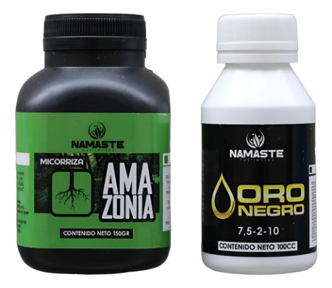 Combo Namaste Amazonia-oro Negro - Morocco Growshop