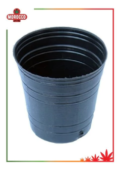 Maceta Soplada 8 Ltos - Morocco Growshops - comprar online