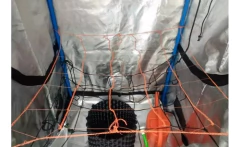 Red Scrog Ideal Indoor 60x60 - Morocco Growshop en internet