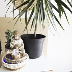 Fonte De Água Buda Da Paz Bola Giratória Efeito Led 01093 - Fraternidade PAX