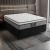 Cama Box Queen Colchão Molas Ensacadas Gazin Maximus 158x198x62cm na internet