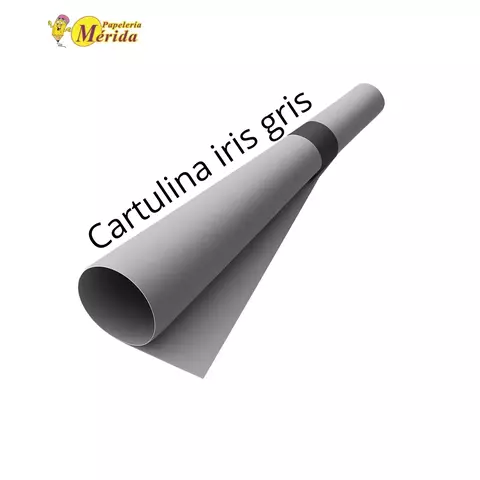 Cartulina Iris 50x60 Color Gris Con 10 - comprar en línea