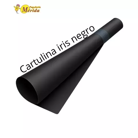 Cartulina Iris 50x60 Color Negro Con 10 - comprar en línea
