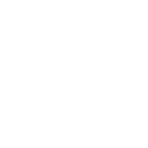 MDZ LOJA OFICIAL