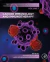 Cancer Immunology and Immunotherapy