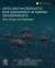 Meso and Microplastic Risk Assessment in Marine Environments