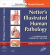 Netter's Illustrated Human Pathology Updated Edition E-book