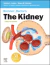 Brenner & Rector's The Kidney (2 volume)