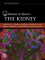 Brenner and Rector's The Kidney