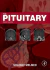 The Laboratory Rabbit, Guinea Pig, Hamster, and Other Rodents