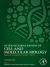Epigenetic Regulation of Cancer - Part D