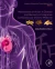 Mechanisms of Action in Disease and Recovery in Integrative Cardiovascular Chinese Medicine
