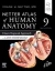 LATIN TERMINOLOGY Netter Atlas of Human Anatomy: Classic Regional Approach with Latin Terminology