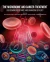 The Microbiome and Cancer Treatment