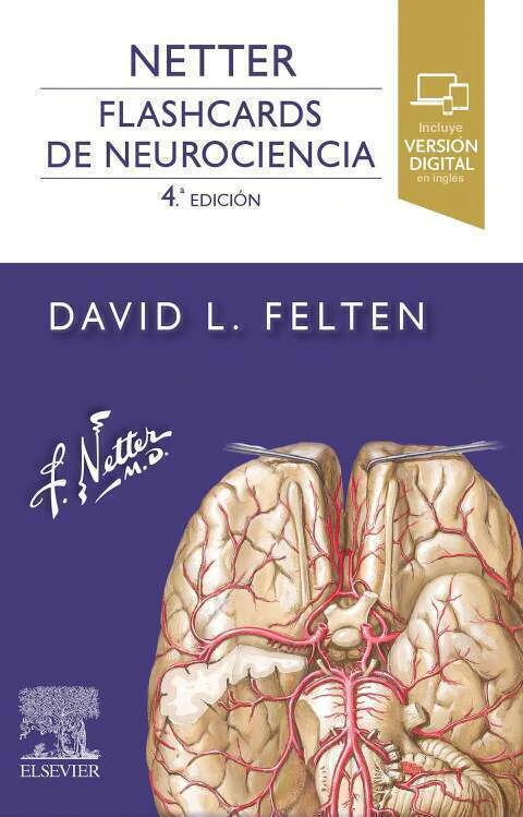Netter. Flashcards de neurociencia - Ediciones Journal