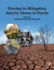 Biochar in Mitigating Abiotic Stress in Plants