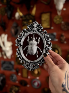 QUADRO BESOURO COM VELUDO - VOLK TEMPLE