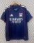 Imagen de Camiseta Olympique de Lyon 25/26 Visita- Versión Fan