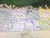Ajuar estampado 0-3 meses 5 piezas niño - comprar en línea