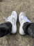 DUNK WOLF GREY na internet