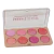 Paleta de Blush - Face Makeup - Sarah's Beauty - Você de Bonita