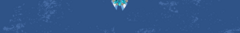 Banner de la categoría Combinado