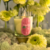 Vela Aromática Spring Nº5 180g | Rosa, bergamota & cardamomo
