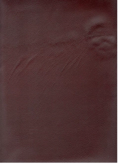 Cueros Discontinuos - Tapicería / Marroquineria / Talabarteria X 2.5m2 apox. (Media chapa) VII