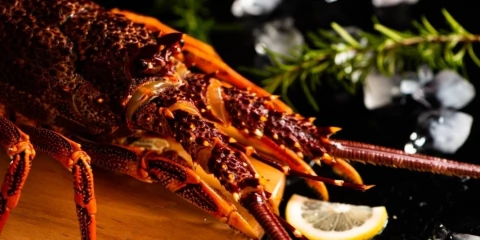 LAGOSTA INTEIRA - KG - comprar online