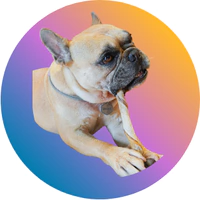 Marca 11 de Good Lovin Snacks 