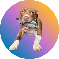 Marca 5 de Good Lovin Snacks 