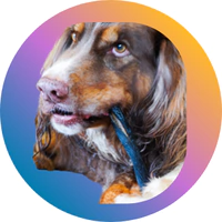 Marca 10 de Good Lovin Snacks 