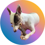 Marca 9 de Good Lovin Snacks 