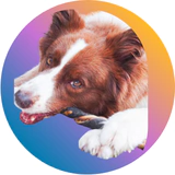 Marca 8 de Good Lovin Snacks 