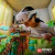 Visor Realidad Virtual Mixta Meta Quest 3 512 Gb Blanco Wifi - tienda online
