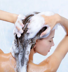 Base New Shampoo (1lt) - comprar online