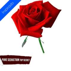 Essência Pure Seduction Top Secret 1lt - comprar online