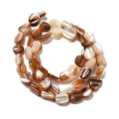 Tira semillas concha natural color crema - comprar online