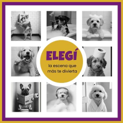 Barko Íntimo – El guiño más divertido de tu baño - BARKO